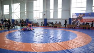 Вес 57 кг. квалификация Чупров (Новокубанск)-Ковтун (Динская)