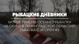 РЫБАЦКИЕ ДНЕВНИКИ//Хитрые приемы осенней рыбалки на окуня в Ленинградской обл.!Рыбалка с Игорем#3