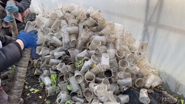 ВЛОГ -посадка огурцов, осмотр капусты смотреть онлайн