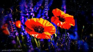 КРАСИВЫЕ ПЕСНИ ОБО ВСЁМ...ДОБРЫЙ ВЕЧЕР!