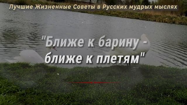70 Лучших Советов в Русских пословицах и поговорках, которые Решат множество Ваших Жизненных пробле