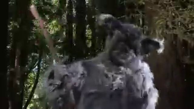 A Wolf's Tale - From Fickle Forest Fairy Tales. смотреть онлайн