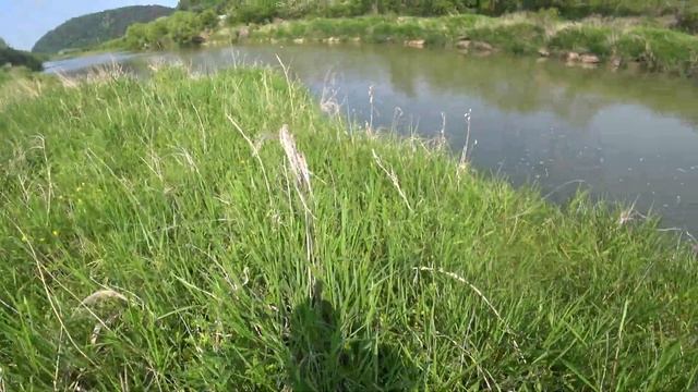 Выбрался по стрелять смотреть онлайн