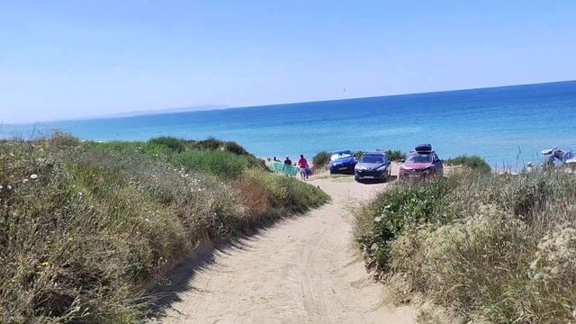 ВСТРЕТИЛИ ДРУЗЕЙОТКРЫЛИ СЕЗОН АРБУЗОВ. смотреть онлайн