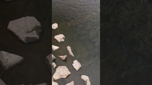 на разведке с дрона #рыбалкасрогаткой #охотанарогатку #slingshotfishing #сазан смотреть онлайн