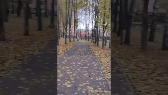 Цикл роликов "Прогулки по Липецку" видео 6 за 10.11.2022