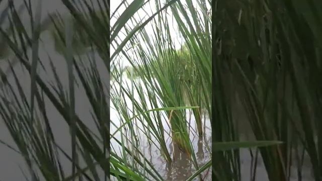 ч2 .(архив) смотреть онлайн