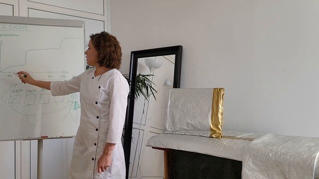 Знакомство с портативным коконом | Жанна Гермер
