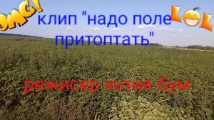 Клип надо поле притоптать!!!жжака