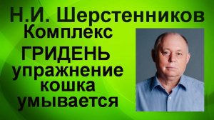 Шерстенников. Н.И. Шерстенников демонстрирует четвёртое упражнение из комплекса Гридень.