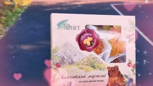 5 сентября 2024 г.