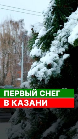 Первый снег в Казани! ❄️