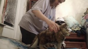 7 октября 2024 г.(3)