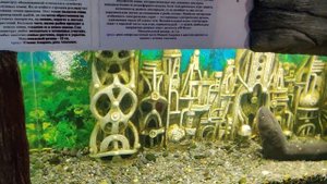 Океанариум Алушта