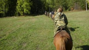 Купила мама коника