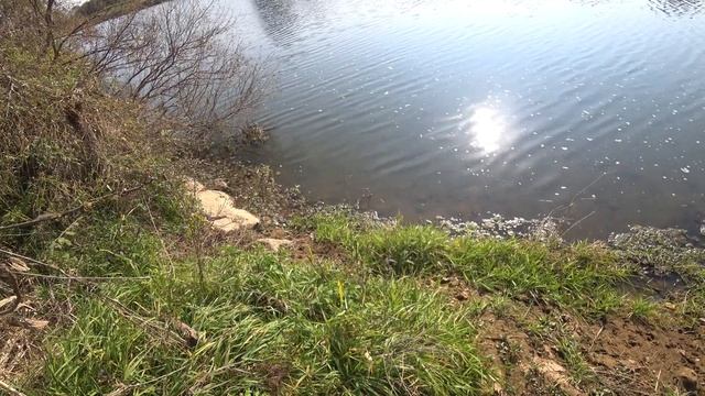 осенний выход на сазана охота с рогаткой смотреть онлайн