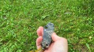Spyderco DLC - Минусы Покрытия DLC