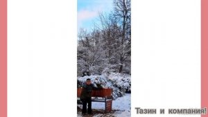 Вечерняя прогулка по парку Сокольники в Москве.Подборка из фото-25.11.2024 год.