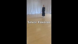 NDCA Solo Stars Silver Ballroom