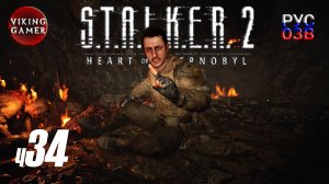 В поисках проводника. S.T.A.L.K.E.R. 2: Сердце Чернобыля. Прохождение с Рус Озв. ч. 34