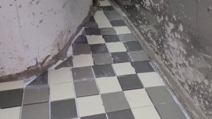 Плитка в душевой кабине ( криворукий плиточник)