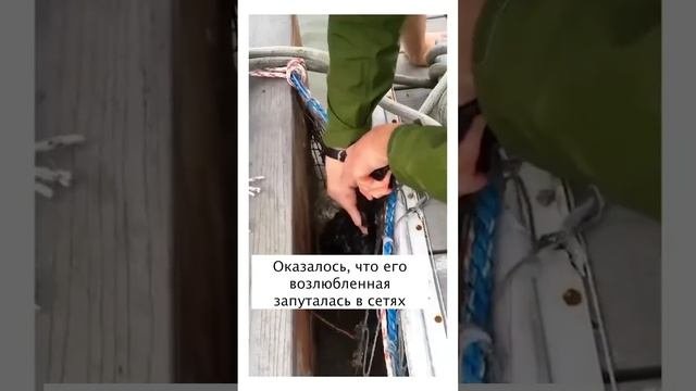 Делайте добрый дела