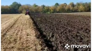 МТЗ 1025 в парі з плугом оптікон 3+1