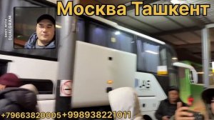 Москва_Ташкент_Автобус_Заказной