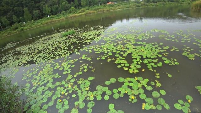 Это моя последняя охота в это жаркое лето (охота с рогаткой)(slingshot fishing) смотреть онлайн
