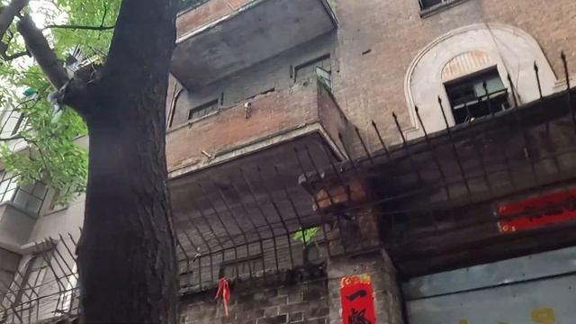 广州平民日常生活VLOG！老城区市场美食！荔湾艇仔粥15元！猪肠粉5元！菠萝包2元！吃货横扫街！本地人粤语美食探店！30mins 美食 Vlog！Guangzhou China Market foo
