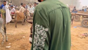 12682588_3840_2160_30fps