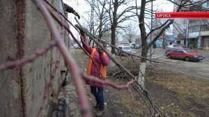 ТК "Родной". Коммунальные службы Кировска выполняют работы по благоустройству города