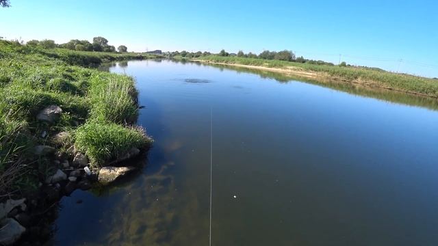 Осенний выход на сазана смотреть онлайн