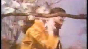 Old TV Commercial of Winston, Salem and Camel Cigarettes