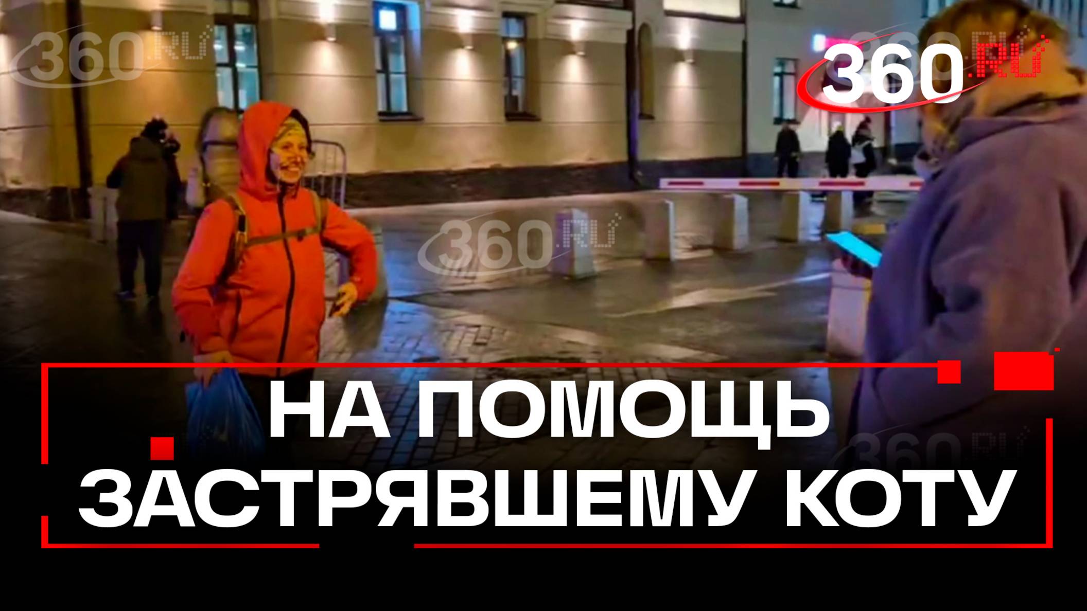 Спасение кота в Королеве. На помощь едет руководитель службы Кошкиспас