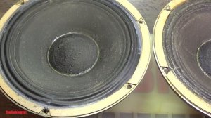 Решается судьба динамиков 30ГД-301