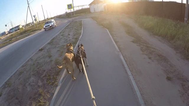 10 августа 2024 г. смотреть онлайн