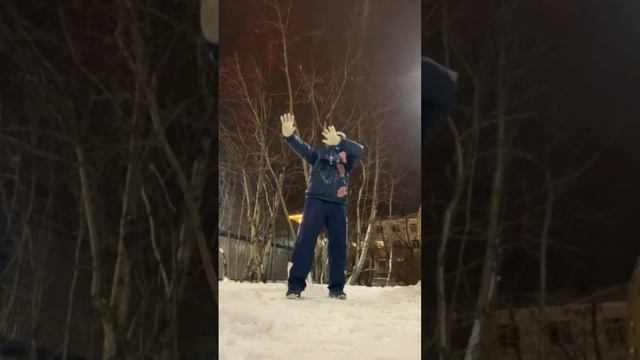 Ицюань / Кёкусинкай / Туйтуо, Сиуси, Чентуо Чжуан / Туйтуо Шили / Удары ногами / Буфа (25.11.24)