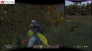 DayZ Древесное лечение #dayz #survival