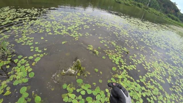 Охота(slingshot fishing) смотреть онлайн