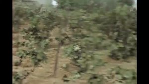 Копия видео "Из фильма" Отец солдата"-  Отцовское сердце ( монтаж олег )"