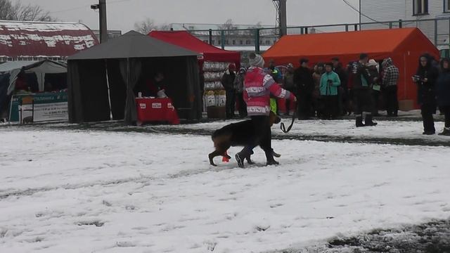 ФАУСТ смотреть онлайн