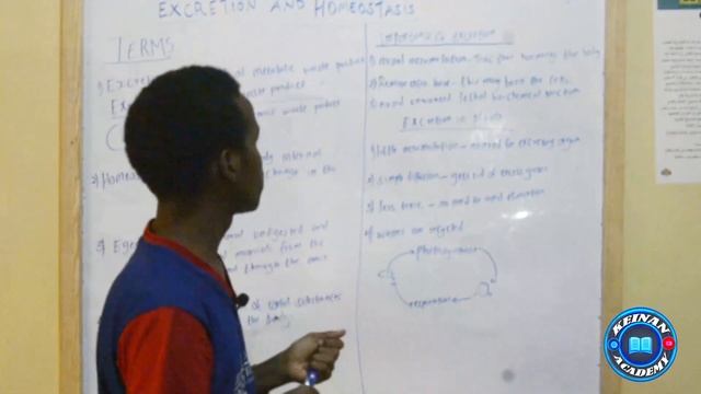 EXCRETION AND HOMEOSTASIS: PART 1: INTRODUCTION смотреть онлайн