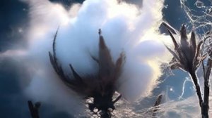 Добрый День - Пусть ваш день будет наполнен счастьем и позитивом