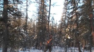 охотник на соболя с лайкой