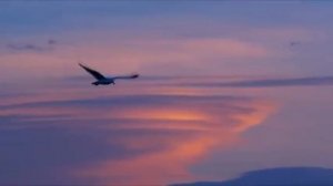 Сергей Чекалин - Полёт