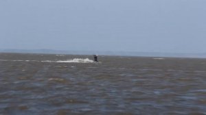 Кайтсерфинг в Анапе. Осень 2021