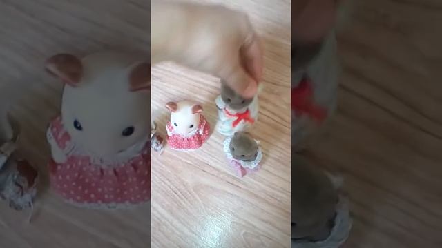 Моя коллекция Сильвания фэмили Семейки