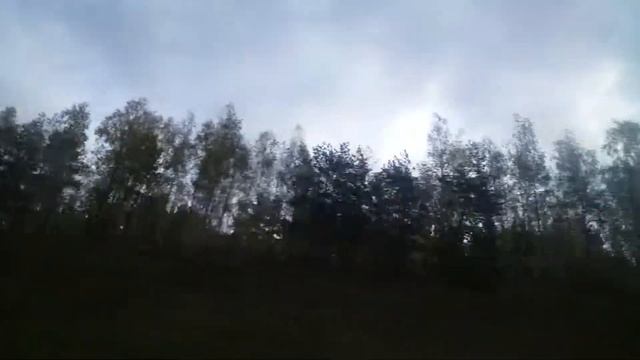 Кругом золотая осень. Минск. 25.10.18 г.
