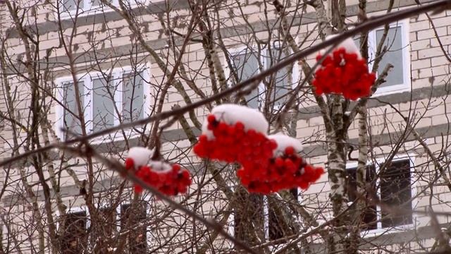 Программа ДОМОЙ! ЖК Маленькая страна - этапы строительства.